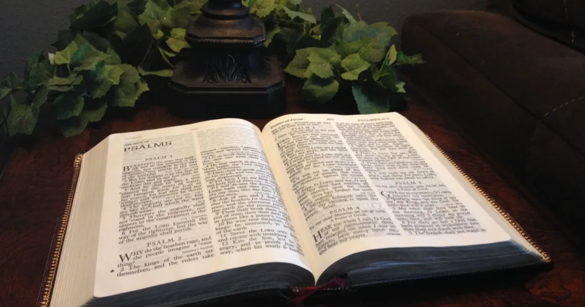 An open book on a wooden table, illustrating an essay on category and difference.